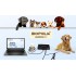 3 in 1 Biophilia Guardian for Dog, Cat and Horse