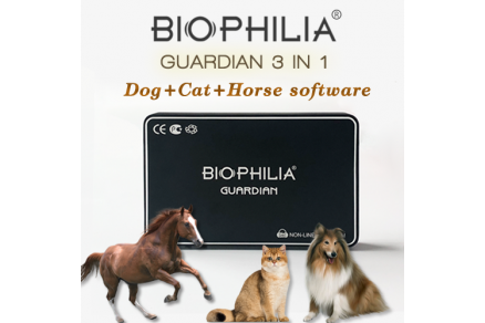 Biophilia Guardian se soucie de la santé des chats et des chiens