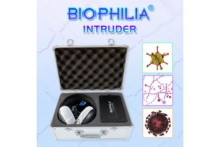 Diagnostic Potential of Biophilia Intruder on 3D-NLS Graphics